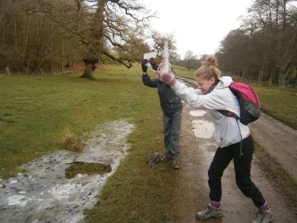 Me and Polly smash ice on the approach to Skell Bank Wood